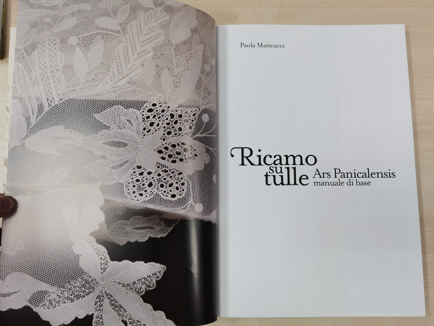 Manual de base de brodat al tul de Paola Matteucci.